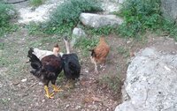 IMG_20191016_165919-02.jpeg