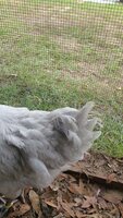 20191019_104420.jpg