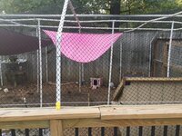 90F05445-FAE0-4AC4-B2D9-86BF6B238275.jpeg