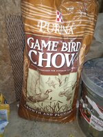 IMG_20191019_225119476.jpg