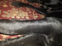 20191020_081759.jpg