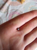 20191020_141448.jpg