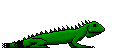 animated-gifs-lizards-032.gif