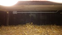 Coop Electrics 160006.jpg