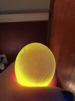 49E2772A-3B6E-4C36-AC72-CF9062907C61.jpeg