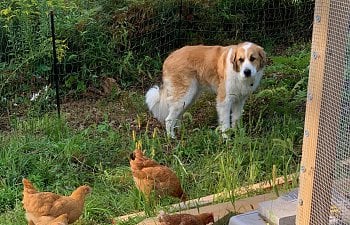 IMG_0103.jpg IMG_0103.jpg
