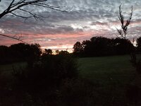 20191019_064903.jpg
