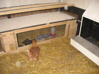 Brooder Wall 003.JPG