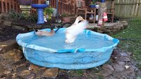 20191004_092942.jpg
