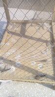 IMG_20191024_110357.jpg