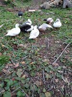 20190920_183644.jpg