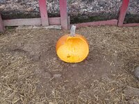 PumpkinSnack.jpg