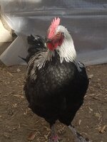 20191026_105948.jpg