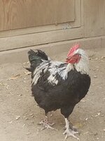 20191026_105634.jpg