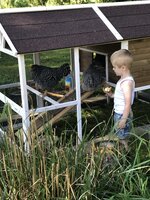 IMG_0810.JPG