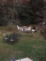 590325DE-0094-4F12-87FF-B6FF3FD5BE6A.jpeg