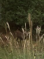 DC0BC179-DF5B-4366-8D6D-519D30143B39.jpeg