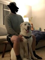 E574EABC-4822-4AA3-B188-E76DB60D637D.jpeg