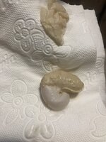 AA74C172-1014-42FA-A145-3640A2144E81.jpeg
