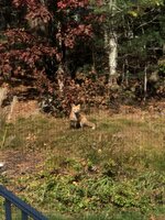 64914739-B11D-400E-86E3-48A622ED4FDE.jpeg