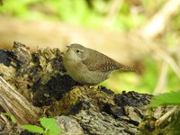 DSCN7944.JPG