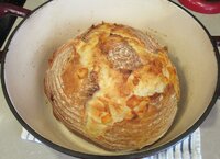 Asiago Ciabatta Bread in dutch oven.jpg