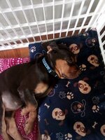IMG_20191104_095011.jpg