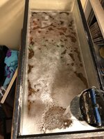 C55E2F2D-0055-41B8-8348-2CA4F4C4EEE5.jpeg