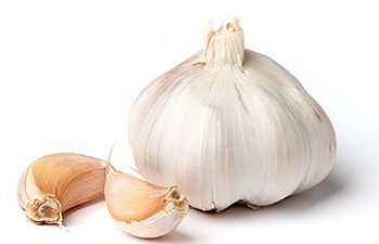 garlic.jpg