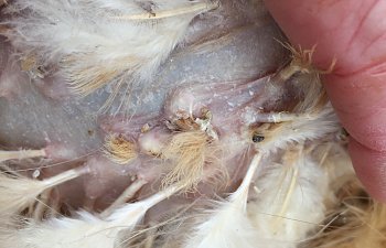 5F57BB69-17CF-4176-ADCD-8546D3D41D8E.jpeg
