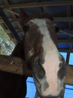 DSCN1614.JPG
