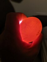 IMG_20191108_193703.jpg