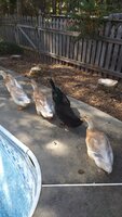 IMG_20191018_122053850.jpg