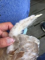 C394E87A-4E55-4FA5-BBDF-E50291DADDE1.jpeg