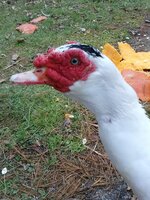 IMG_20191111_151113.jpg