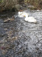 IMG_20191111_150734.jpg