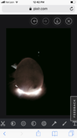 398076A5-04ED-4196-B006-76EACFE4AADB.png