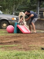 34357429-78D5-4E11-9741-9CA710802908.jpeg