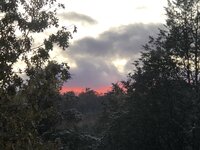 IMG_0346.jpg