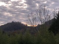 IMG_0363.jpg