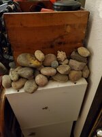 20191115_011142.jpg
