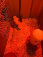 CH IMG_0782.jpg