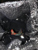 6E514312-73FD-4C89-AF27-1B2DA26FCB57.jpeg
