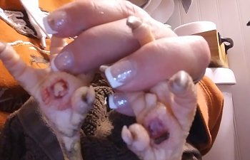 20191117_120111.jpg
