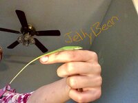 80AA620A-B091-49F0-9D8C-ABC84B1A9166.jpeg