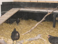 Brooder gone, block for h.water 001.JPG