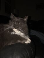 67B0AACD-580E-4828-B05D-0F2B591278F6.jpeg