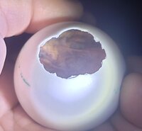 20191121_070239.jpg