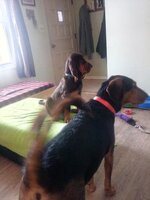 IMG_20191122_081005.jpg