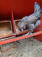 IMG_0399.jpeg